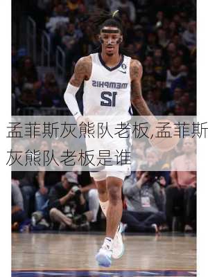 孟菲斯灰熊队老板,孟菲斯灰熊队老板是谁