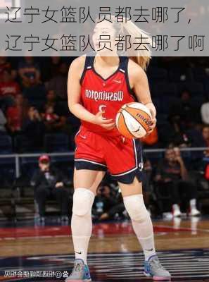 辽宁女篮队员都去哪了,辽宁女篮队员都去哪了啊