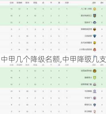 中甲几个降级名额,中甲降级几支
