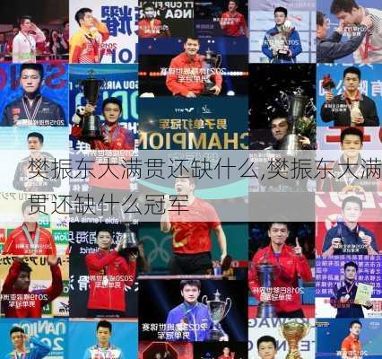 樊振东大满贯还缺什么,樊振东大满贯还缺什么冠军