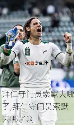 拜仁守门员索默去哪了,拜仁守门员索默去哪了啊