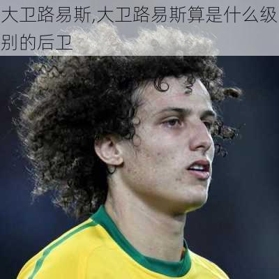 大卫路易斯,大卫路易斯算是什么级别的后卫