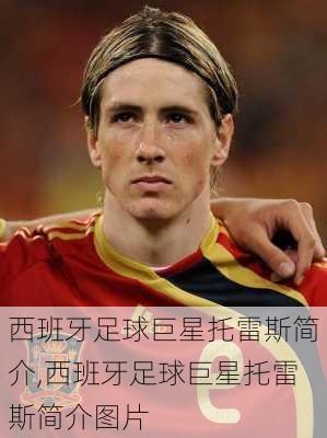 西班牙足球巨星托雷斯简介,西班牙足球巨星托雷斯简介图片