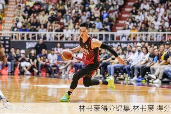 林书豪得分锦集,林书豪 得分