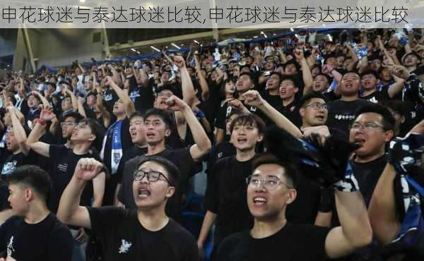 申花球迷与泰达球迷比较,申花球迷与泰达球迷比较
