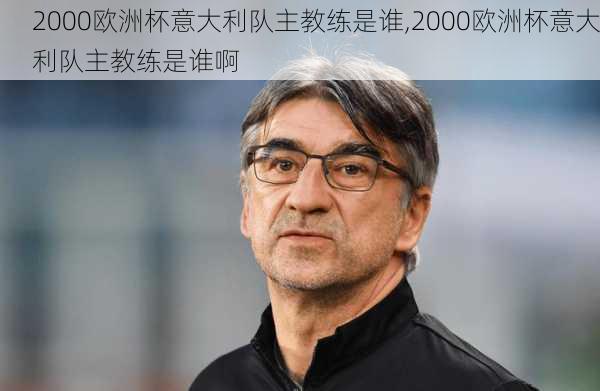 2000欧洲杯意大利队主教练是谁,2000欧洲杯意大利队主教练是谁啊