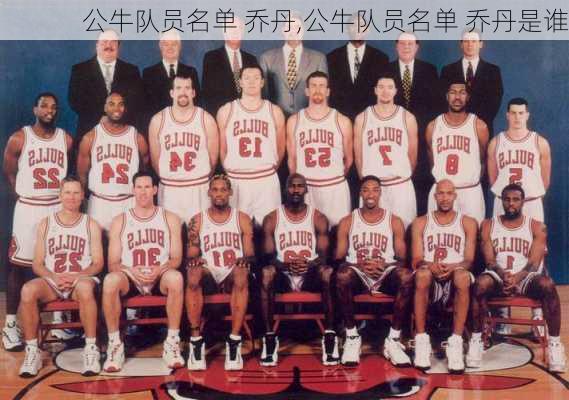 公牛队员名单 乔丹,公牛队员名单 乔丹是谁