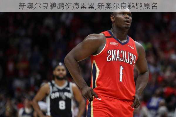 新奥尔良鹈鹕伤痕累累,新奥尔良鹈鹕原名