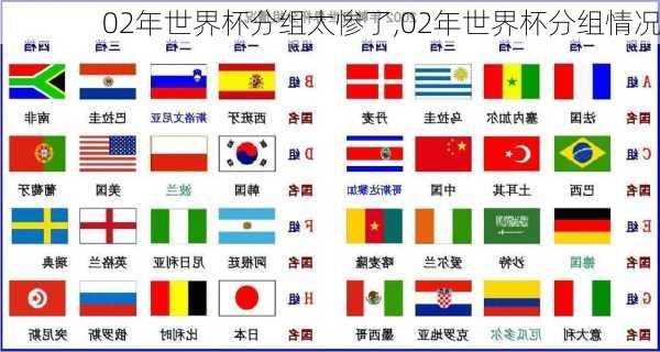 02年世界杯分组太惨了,02年世界杯分组情况