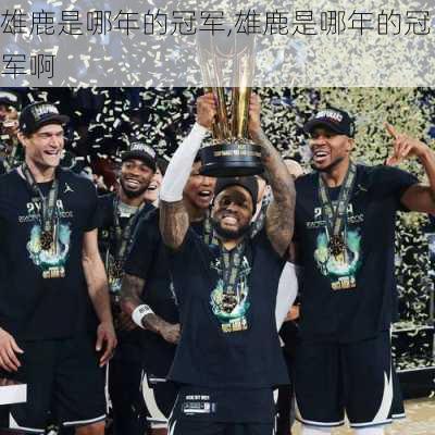 雄鹿是哪年的冠军,雄鹿是哪年的冠军啊