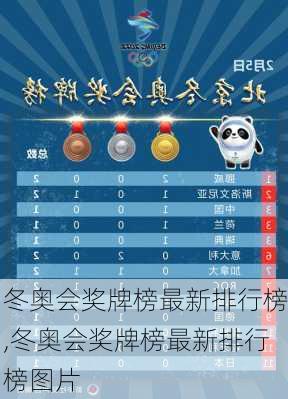 冬奥会奖牌榜最新排行榜,冬奥会奖牌榜最新排行榜图片