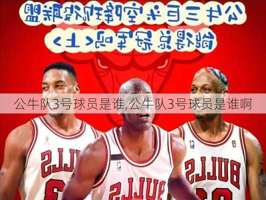 公牛队3号球员是谁,公牛队3号球员是谁啊