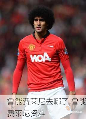 鲁能费莱尼去哪了,鲁能费莱尼资料
