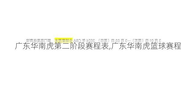 广东华南虎第二阶段赛程表,广东华南虎篮球赛程