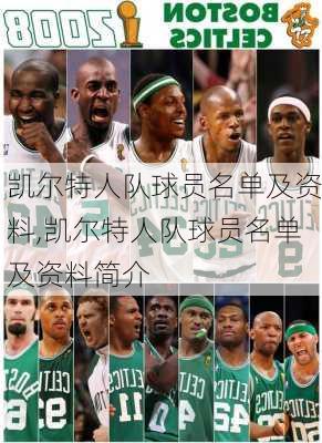 凯尔特人队球员名单及资料,凯尔特人队球员名单及资料简介