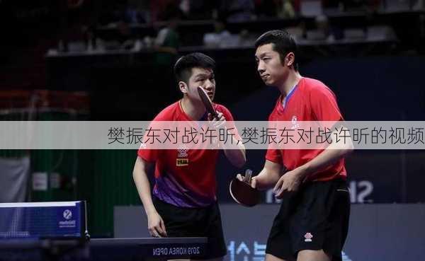 樊振东对战许昕,樊振东对战许昕的视频