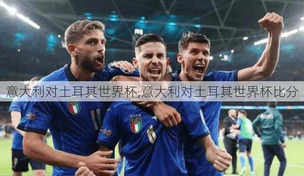意大利对土耳其世界杯,意大利对土耳其世界杯比分