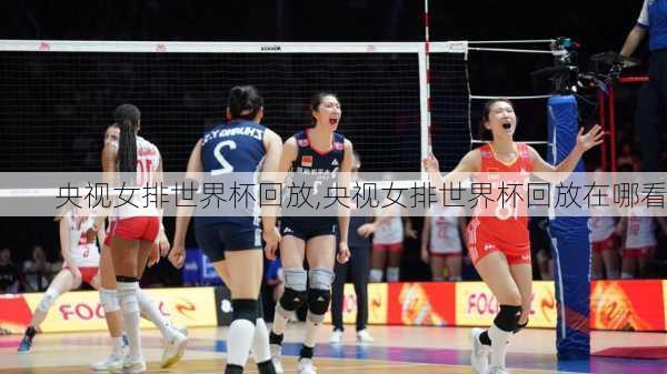 央视女排世界杯回放,央视女排世界杯回放在哪看