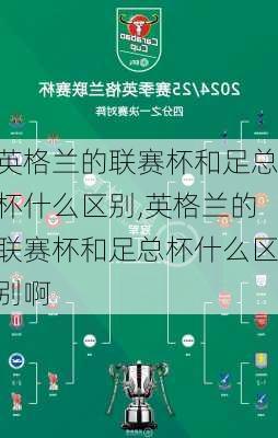 英格兰的联赛杯和足总杯什么区别,英格兰的联赛杯和足总杯什么区别啊