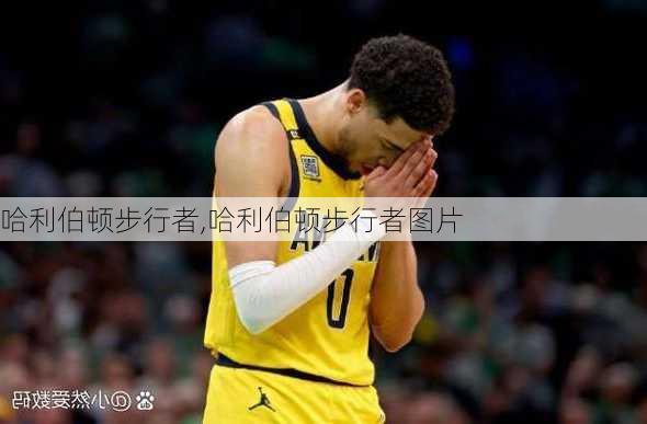 哈利伯顿步行者,哈利伯顿步行者图片