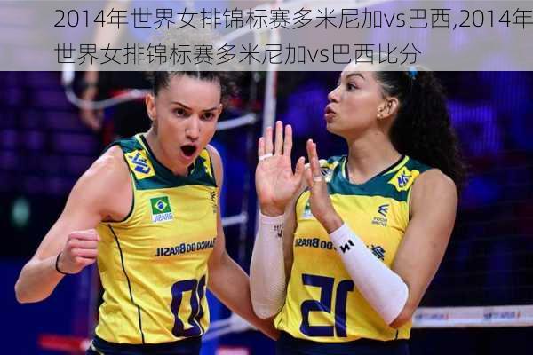 2014年世界女排锦标赛多米尼加vs巴西,2014年世界女排锦标赛多米尼加vs巴西比分