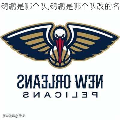 鹈鹕是哪个队,鹈鹕是哪个队改的名