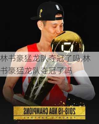 林书豪猛龙队夺冠了吗,林书豪猛龙队夺冠了吗