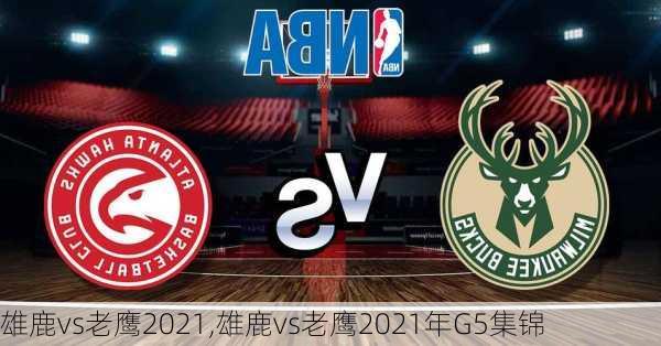 雄鹿vs老鹰2021,雄鹿vs老鹰2021年G5集锦