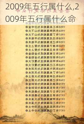 2009年五行属什么,2009年五行属什么命