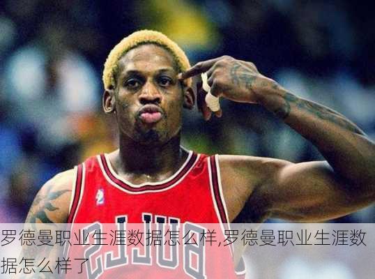 罗德曼职业生涯数据怎么样,罗德曼职业生涯数据怎么样了