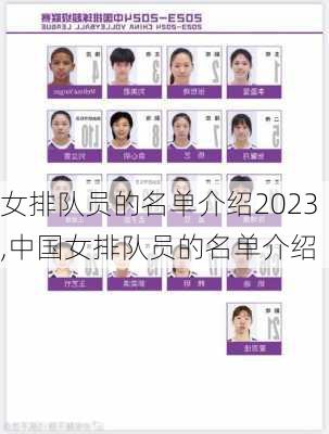 女排队员的名单介绍2023,中国女排队员的名单介绍