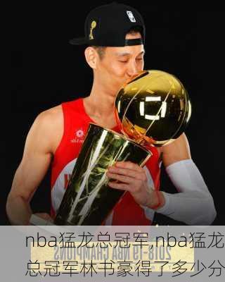 nba猛龙总冠军,nba猛龙总冠军林书豪得了多少分