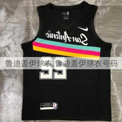 鲁迪盖伊球衣,鲁迪盖伊球衣号码
