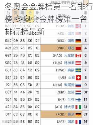 冬奥会金牌榜第一名排行榜,冬奥会金牌榜第一名排行榜最新