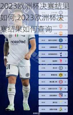 2023欧洲杯决赛结果如何,2023欧洲杯决赛结果如何查询