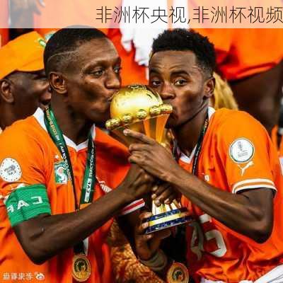 非洲杯央视,非洲杯视频