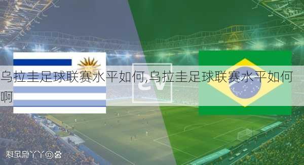 乌拉圭足球联赛水平如何,乌拉圭足球联赛水平如何啊