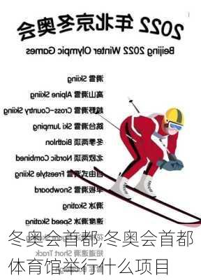 冬奥会首都,冬奥会首都体育馆举行什么项目