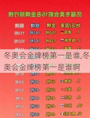 冬奥会金牌榜第一是谁,冬奥会金牌榜第一是谁啊