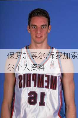 保罗加索尔,保罗加索尔个人资料