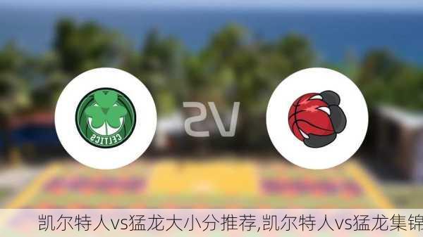凯尔特人vs猛龙大小分推荐,凯尔特人vs猛龙集锦