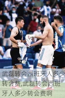 武磊转会西班牙人多少转会费,武磊转会西班牙人多少转会费啊