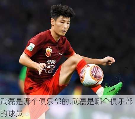 武磊是哪个俱乐部的,武磊是哪个俱乐部的球员