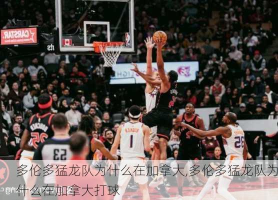 多伦多猛龙队为什么在加拿大,多伦多猛龙队为什么在加拿大打球