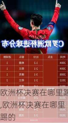 欧洲杯决赛在哪里踢,欧洲杯决赛在哪里踢的