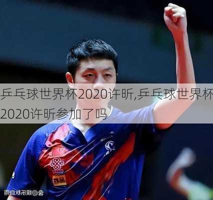 乒乓球世界杯2020许昕,乒乓球世界杯2020许昕参加了吗