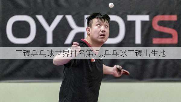王臻乒乓球世界排名第几,乒乓球王臻出生地