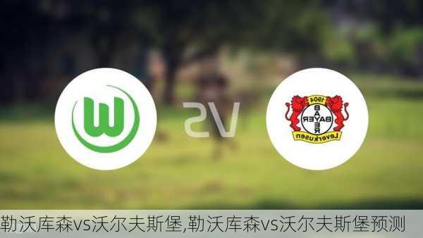 勒沃库森vs沃尔夫斯堡,勒沃库森vs沃尔夫斯堡预测