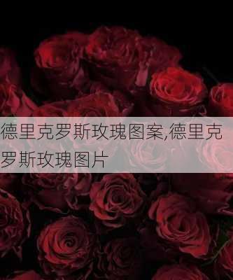 德里克罗斯玫瑰图案,德里克罗斯玫瑰图片