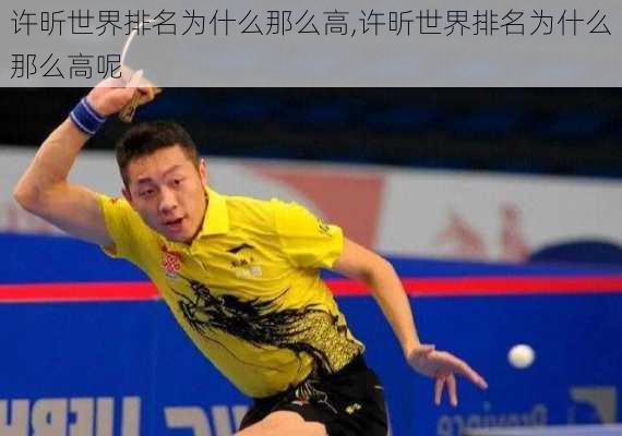许昕世界排名为什么那么高,许昕世界排名为什么那么高呢